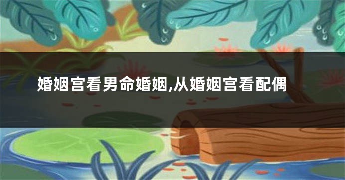 婚姻宫看男命婚姻,从婚姻宫看配偶