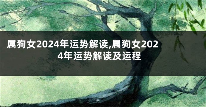 属狗女2024年运势解读,属狗女2024年运势解读及运程