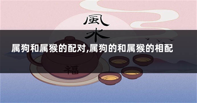 属狗和属猴的配对,属狗的和属猴的相配