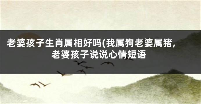 老婆孩子生肖属相好吗(我属狗老婆属猪,老婆孩子说说心情短语
