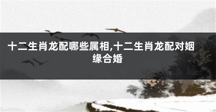 十二生肖龙配哪些属相,十二生肖龙配对姻缘合婚
