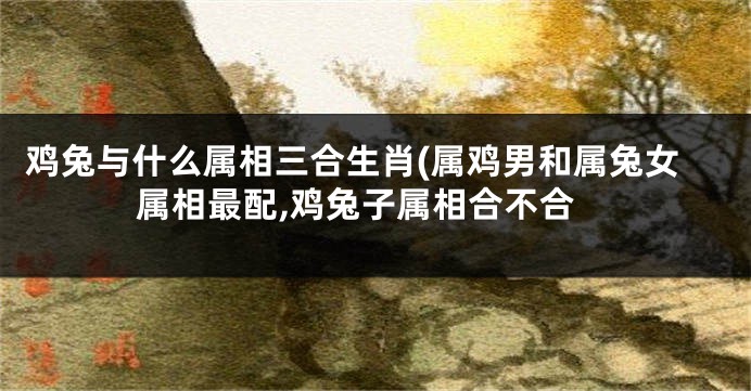 鸡兔与什么属相三合生肖(属鸡男和属兔女属相最配,鸡兔子属相合不合