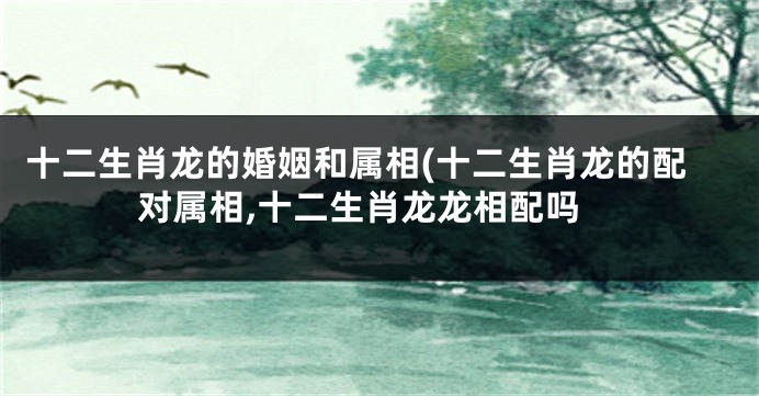 十二生肖龙的婚姻和属相(十二生肖龙的配对属相,十二生肖龙龙相配吗