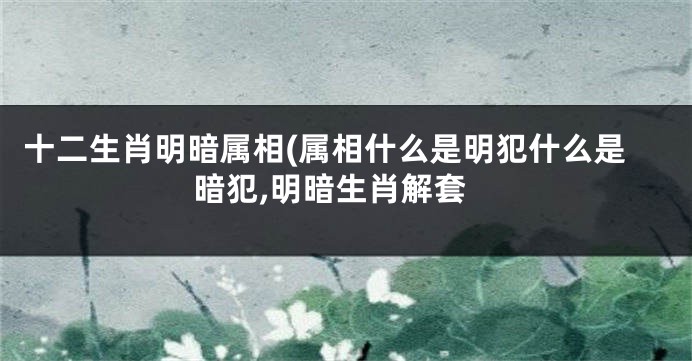 十二生肖明暗属相(属相什么是明犯什么是暗犯,明暗生肖解套