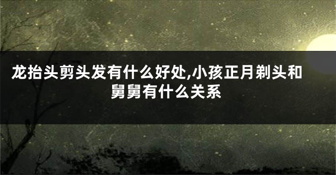 龙抬头剪头发有什么好处,小孩正月剃头和舅舅有什么关系
