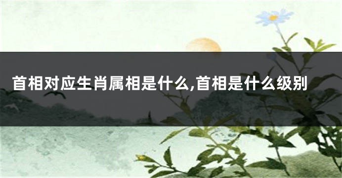首相对应生肖属相是什么,首相是什么级别