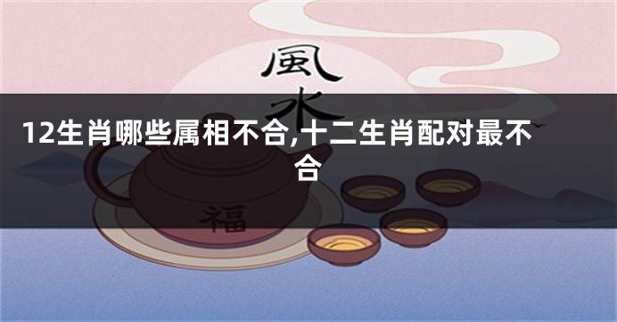 12生肖哪些属相不合,十二生肖配对最不合