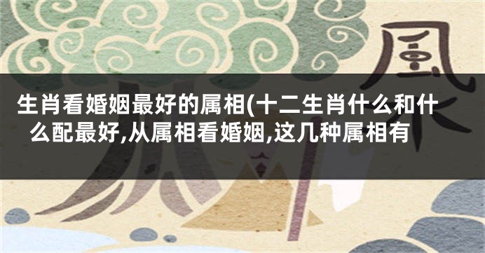 生肖看婚姻最好的属相(十二生肖什么和什么配最好,从属相看婚姻,这几种属相有