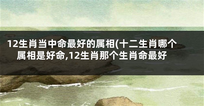12生肖当中命最好的属相(十二生肖哪个属相是好命,12生肖那个生肖命最好