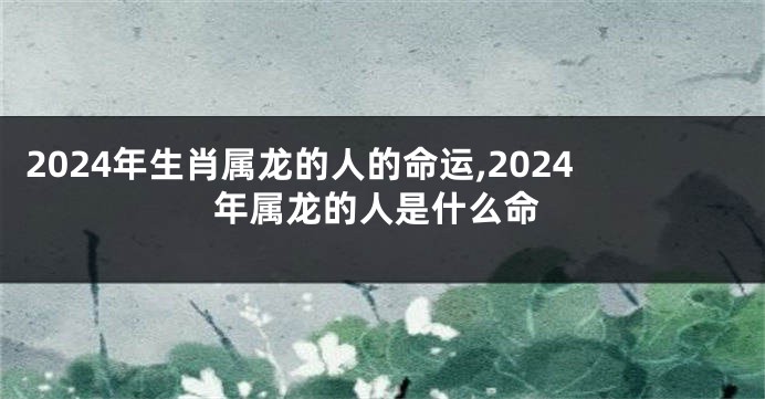 2024年生肖属龙的人的命运,2024年属龙的人是什么命