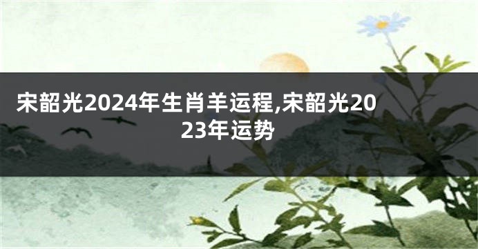 宋韶光2024年生肖羊运程,宋韶光2023年运势
