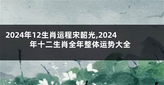 2024年12生肖运程宋韶光,2024年十二生肖全年整体运势大全
