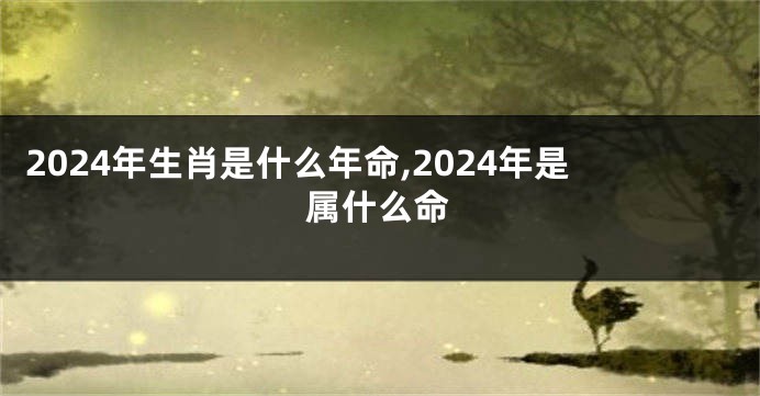 2024年生肖是什么年命,2024年是属什么命
