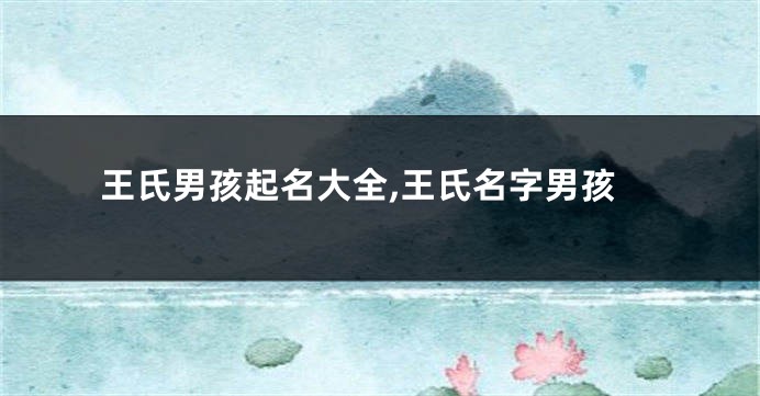 王氏男孩起名大全,王氏名字男孩