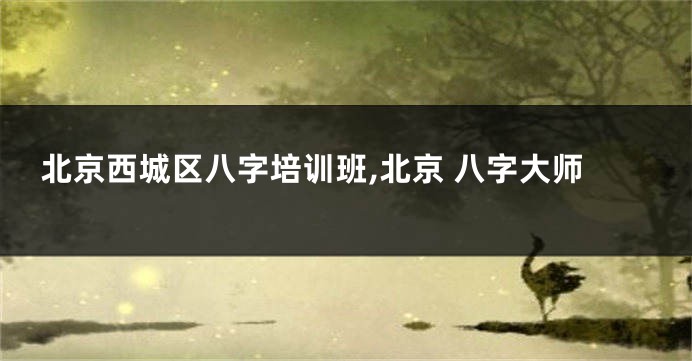 北京西城区八字培训班,北京 八字大师