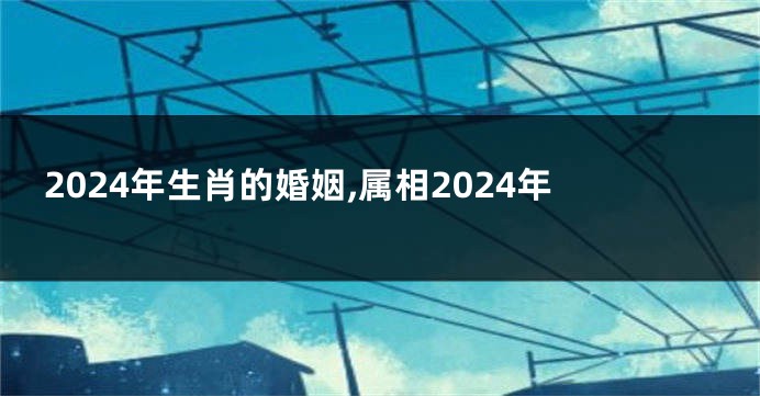 2024年生肖的婚姻,属相2024年