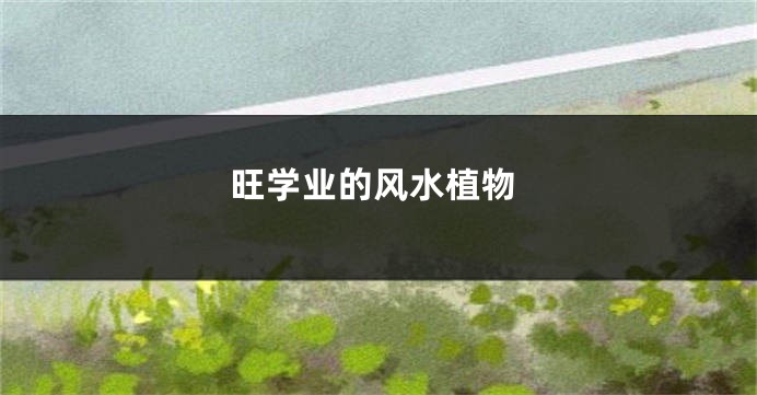 旺学业的风水植物