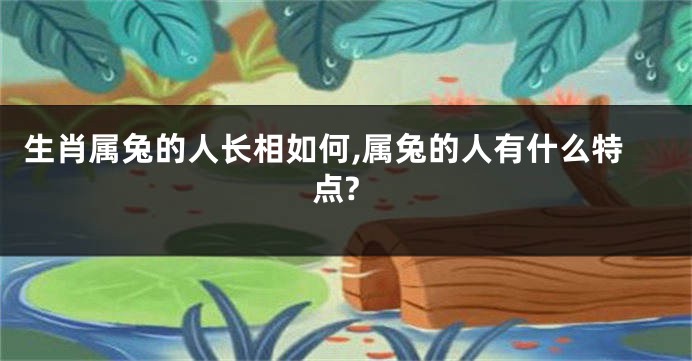 生肖属兔的人长相如何,属兔的人有什么特点?
