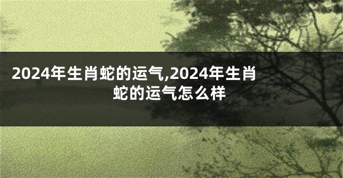 2024年生肖蛇的运气,2024年生肖蛇的运气怎么样