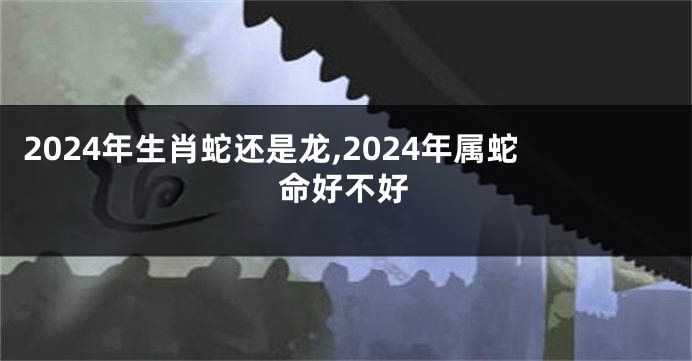 2024年生肖蛇还是龙,2024年属蛇命好不好