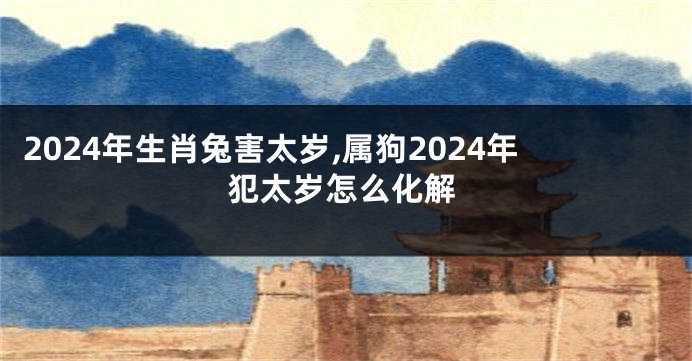 2024年生肖兔害太岁,属狗2024年犯太岁怎么化解