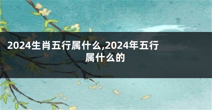 2024生肖五行属什么,2024年五行属什么的