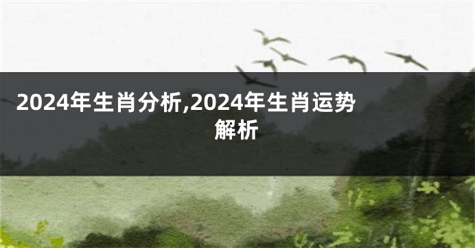 2024年生肖分析,2024年生肖运势解析