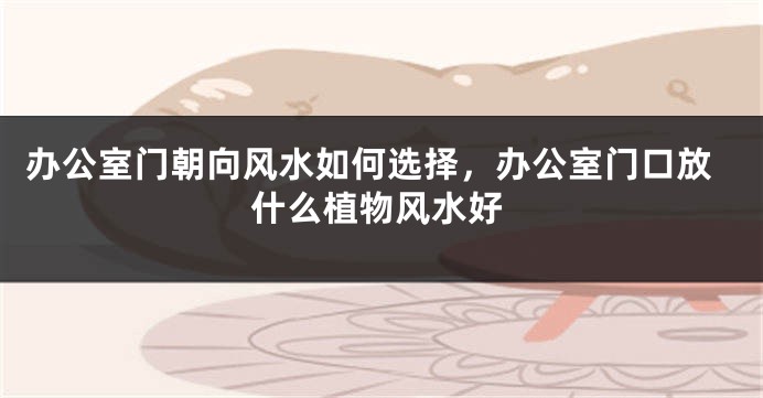 办公室门朝向风水如何选择，办公室门口放什么植物风水好