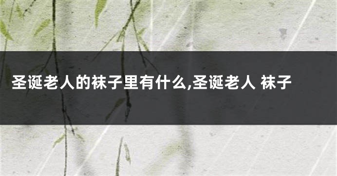 圣诞老人的袜子里有什么,圣诞老人 袜子