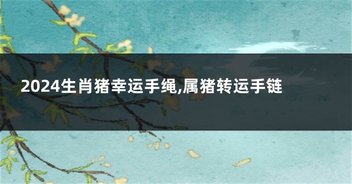 2024生肖猪幸运手绳,属猪转运手链