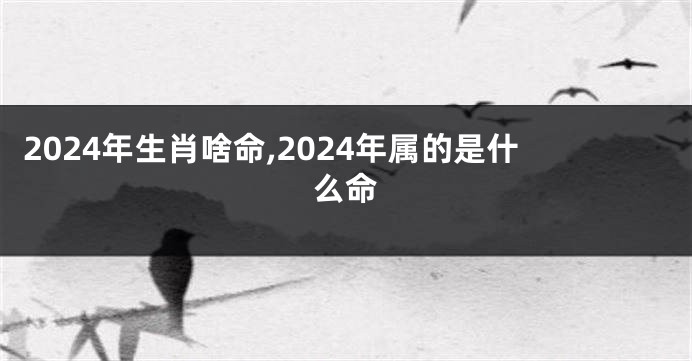 2024年生肖啥命,2024年属的是什么命
