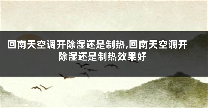 回南天空调开除湿还是制热,回南天空调开除湿还是制热效果好