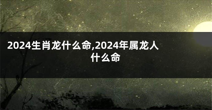 2024生肖龙什么命,2024年属龙人什么命