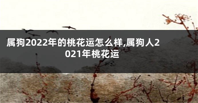 属狗2022年的桃花运怎么样,属狗人2021年桃花运