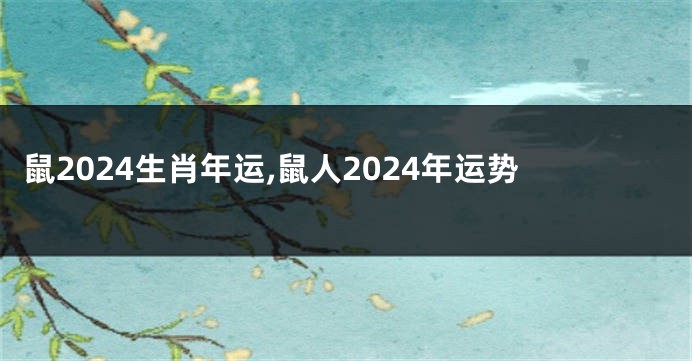 鼠2024生肖年运,鼠人2024年运势