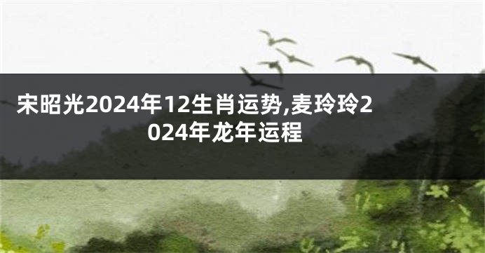 宋昭光2024年12生肖运势,麦玲玲2024年龙年运程