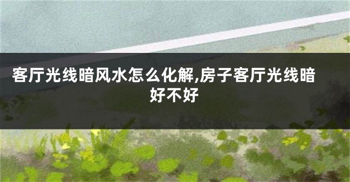 客厅光线暗风水怎么化解,房子客厅光线暗好不好