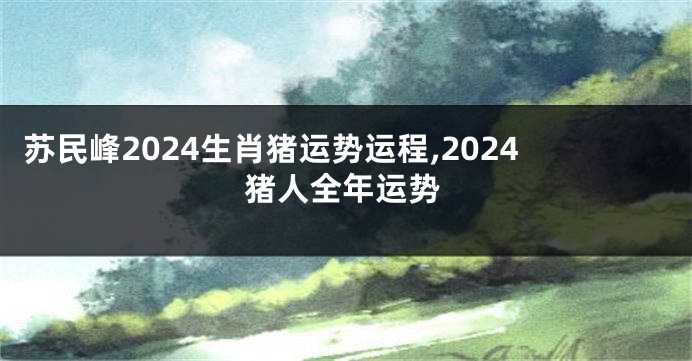 苏民峰2024生肖猪运势运程,2024猪人全年运势