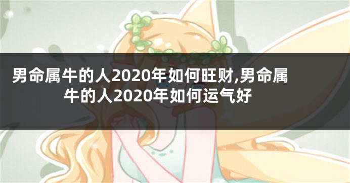 男命属牛的人2020年如何旺财,男命属牛的人2020年如何运气好