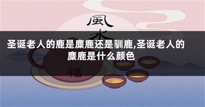 圣诞老人的鹿是麋鹿还是驯鹿,圣诞老人的麋鹿是什么颜色