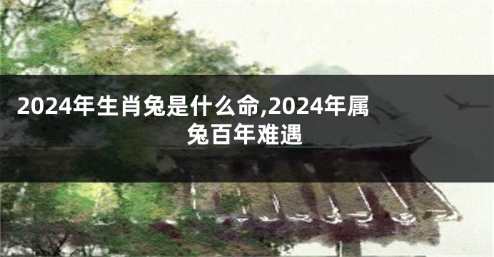 2024年生肖兔是什么命,2024年属兔百年难遇