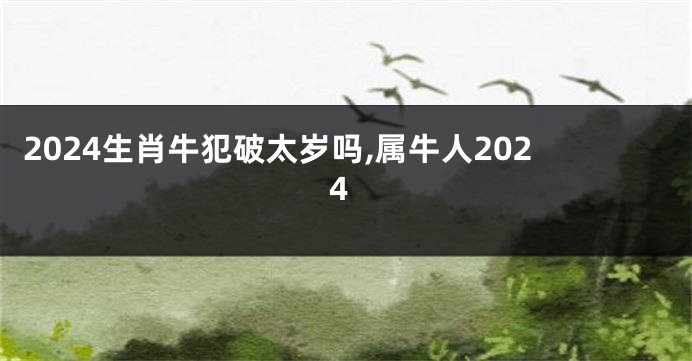 2024生肖牛犯破太岁吗,属牛人2024