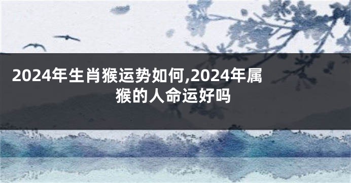 2024年生肖猴运势如何,2024年属猴的人命运好吗