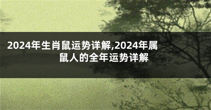 2024年生肖鼠运势详解,2024年属鼠人的全年运势详解