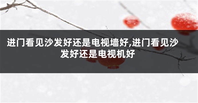 进门看见沙发好还是电视墙好,进门看见沙发好还是电视机好
