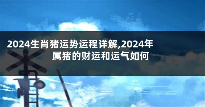 2024生肖猪运势运程详解,2024年属猪的财运和运气如何