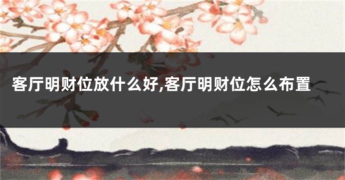 客厅明财位放什么好,客厅明财位怎么布置