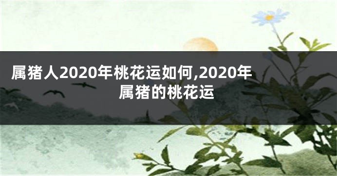 属猪人2020年桃花运如何,2020年属猪的桃花运