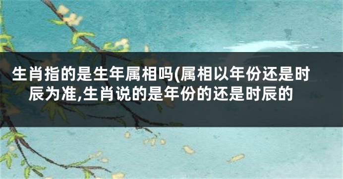 生肖指的是生年属相吗(属相以年份还是时辰为准,生肖说的是年份的还是时辰的