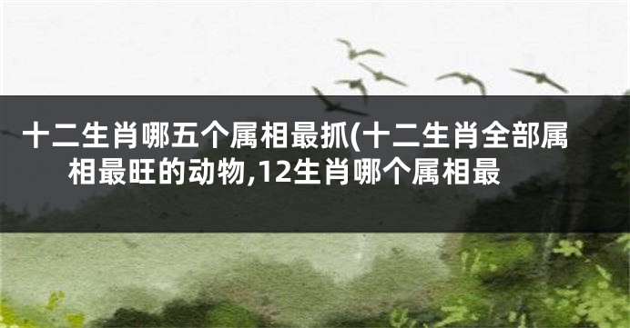十二生肖哪五个属相最抓(十二生肖全部属相最旺的动物,12生肖哪个属相最